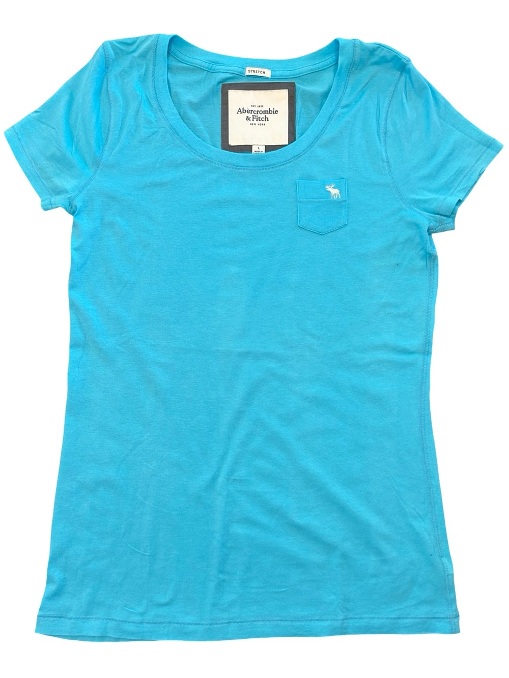 VTG Y2K Abercrombie & Fitch Simple preppy moose logo Aqua blue scoop neck tee L